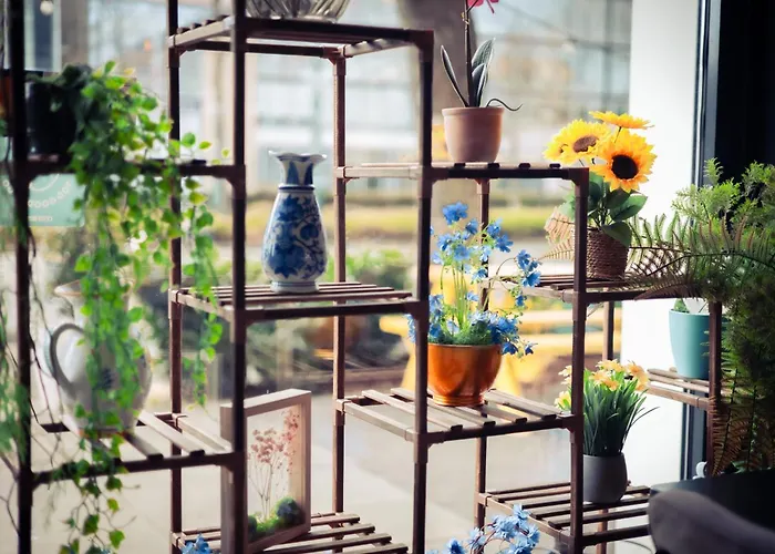 Urban The Golden Stork فندق رايسفايك