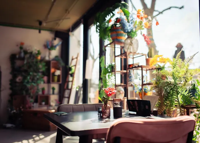 Urban The Golden Stork رايسفايك