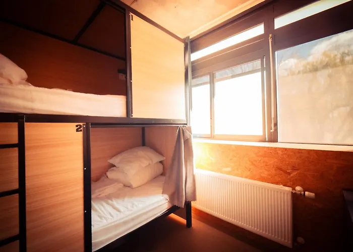 Urban The Golden Stork رايسفايك