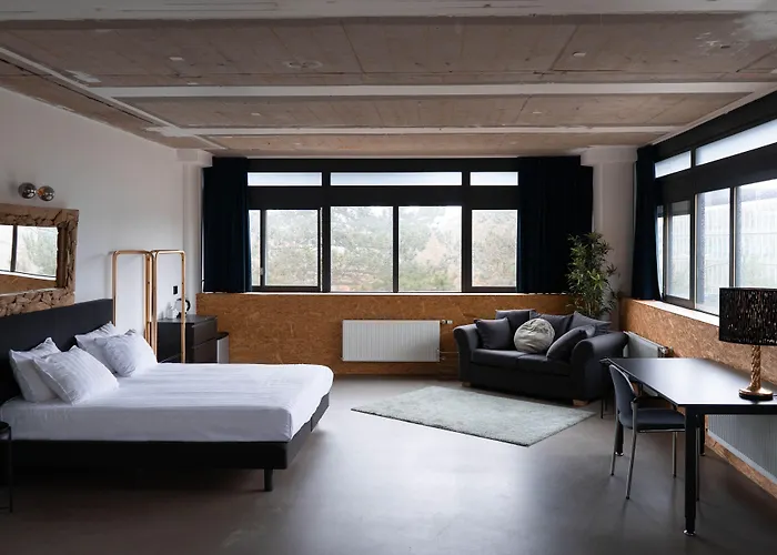 Urban The Golden Stork رايسفايك