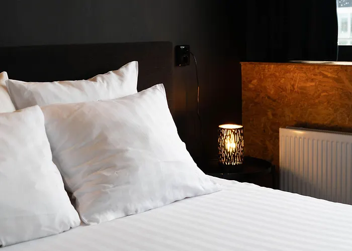 Urban The Golden Stork رايسفايك