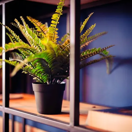 Urban The Golden Stork