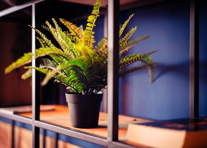 Urban The Golden Stork